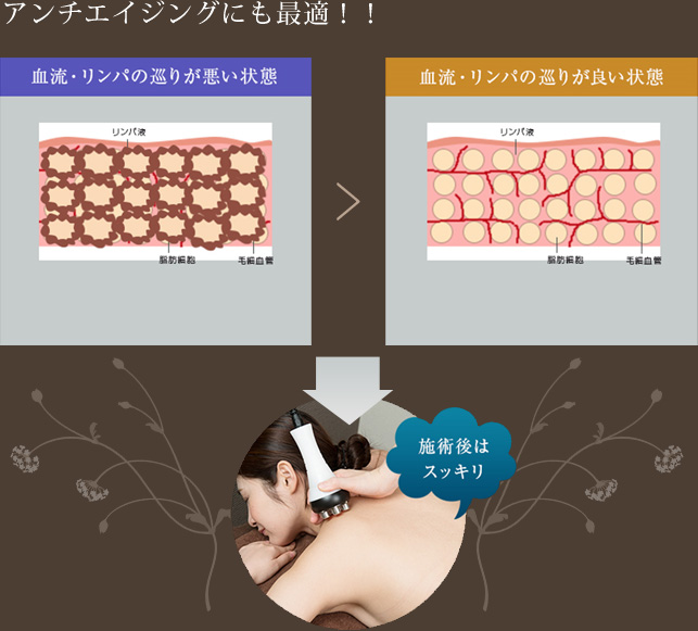 コラーゲン生成+アンチエイジング効果UP 繊維芽細胞を刺激し、コラーゲン、エラスチンの生成能力をアップさせることにより、シワやたるみに効果的です。