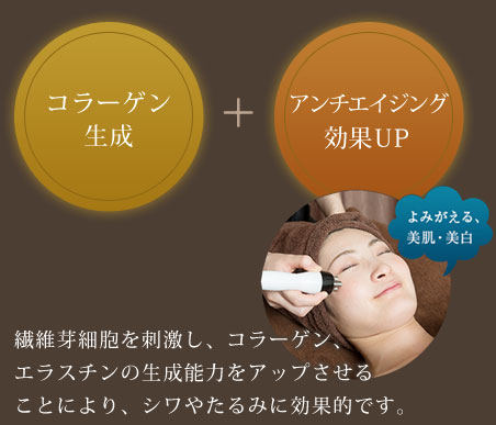 繊維芽細胞を刺激し、コラーゲン、エラスチンの生成能力をアップさせることにより、シワやたるみに効果的です。