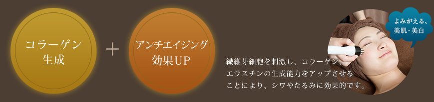 コラーゲン生成+アンチエイジング効果ＵＰ　繊維芽細胞を刺激し、コラーゲン、エラスチンの生成能力をアップさせることにより、シワやたるみに効果的です。